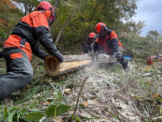 製材の様子（令和７年10月24日）の写真