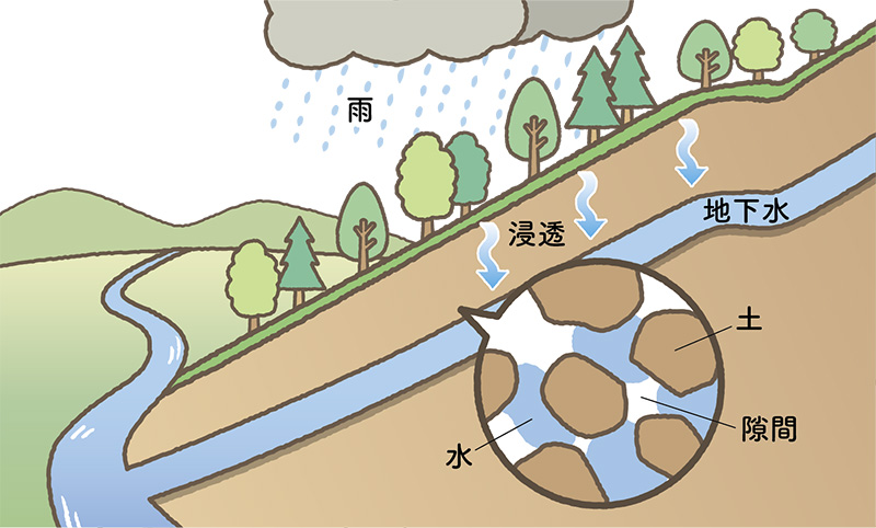 水を蓄える