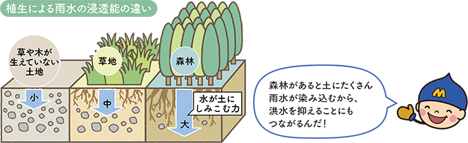 植生による雨水の浸透能の違い